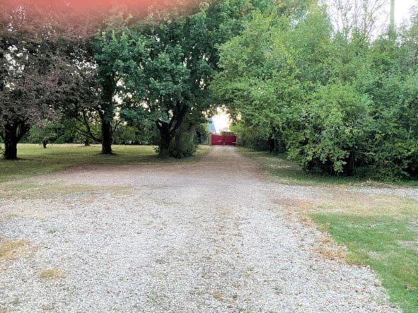La Maison Tournesol - 3 Bedroom House With Large Garden Near Saumur Saint-Martin-de-la-Place Zewnętrze zdjęcie